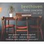 Anne Gastinel / Nicholas Angelich / Gil Shaham / O "Beethoven Triple Concerto Trio op.11" Anne Gastinel / Nicholas Angelich / Gil Shaham / O "Beethoven Triple Concerto Trio op.11"